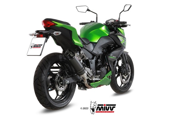 Kawasaki_Z300_2015-_73K038L2SC_02.jpg