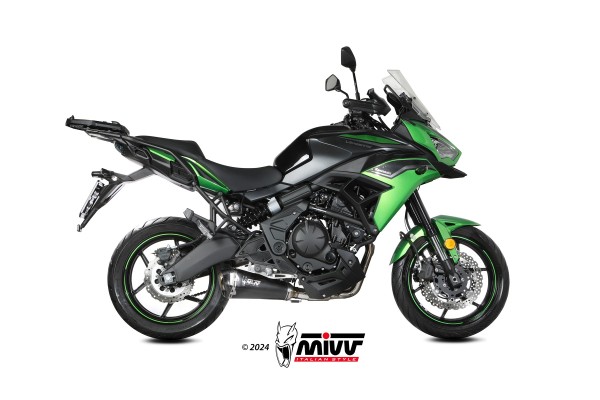 Kawasaki_Versys650_2023-_73K059LDRB_01.jpg