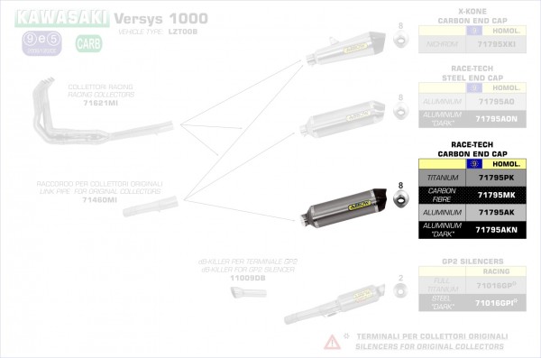 Arrow Endschalldämpfer Race-Tech Carbon  Kawasaki Versys 1000 15-