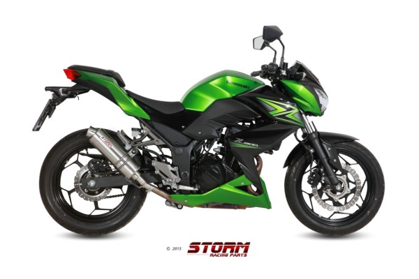 Kawasaki_Z300_2015-_74K038LXS_-01.jpg